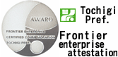 Frontier enterprise attestation