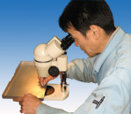 STEREO MICROSCOPES