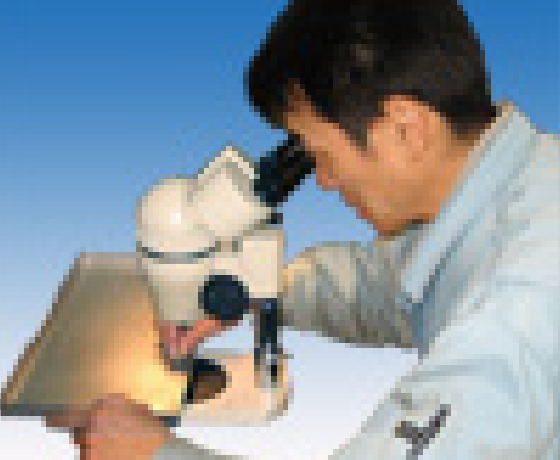 Stereo microscope